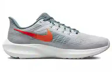 Nike Air Zoom Pegasus 39