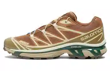 Salomon XT-6 Brown