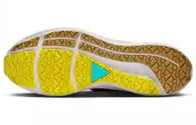 Nike Pegasus Turbo Shield Brown