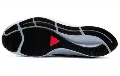 Nike Pegasus 37 Shield Black