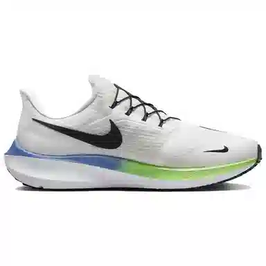 Nike Pegasus FlyEase White Green Blue
