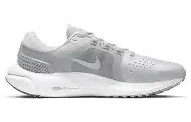 Nike Air Zoom Vomero 15