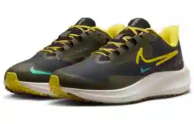 Nike Pegasus Turbo Shield Brown