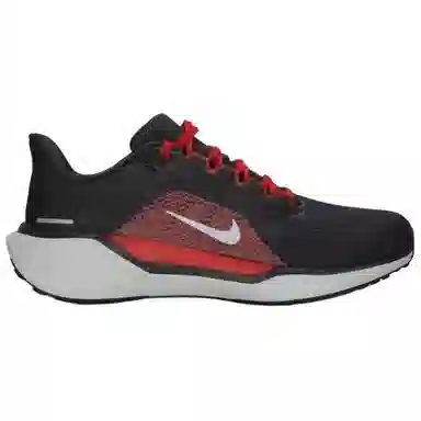 Nike Air Zoom Pegasus 41 Wide