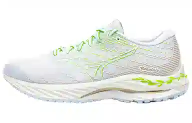 Mizuno Wave Rider 26