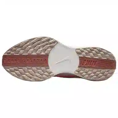 Nike Flex Plus Pegasus