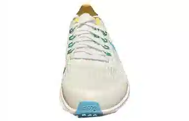 Nike Air Zoom Pegasus 39