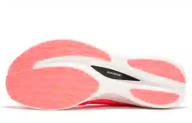 361 Fei Ran 2 Fluorescent Begonia Pink