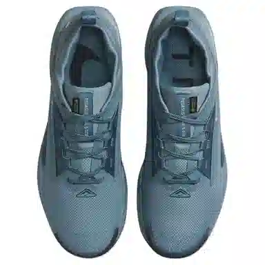 Nike Pegasus Trail 5 GORE-TEX