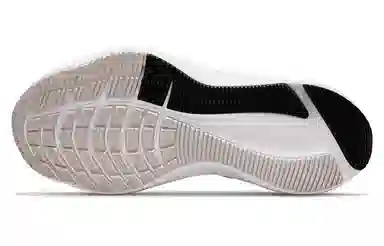 Nike Zoom Winflo 8