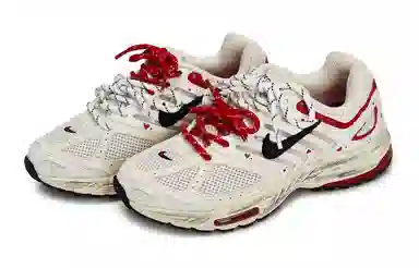 Nike Air Pegasus 2K5