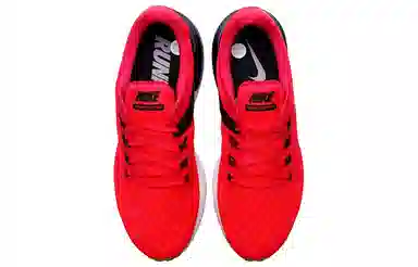 Nike Zoom Structure 22