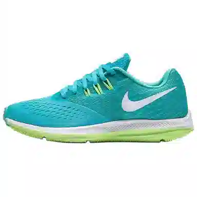 Nike Zoom Winflo 4