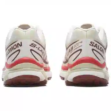 Salomon XT-6