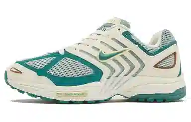 Nike Air Pegasus 2K5