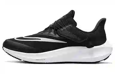 Nike Pegasus FlyEase