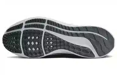 Nike Air Zoom Pegasus 39