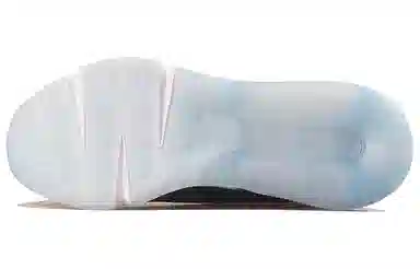 Nike Air Max 2090 Betrue