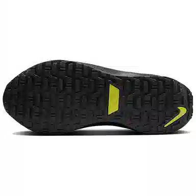 Nike Infinity Run 4 GTX Black