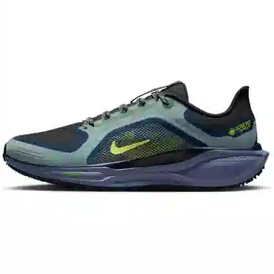 Nike Air Zoom Pegasus 41 Gore-Tex