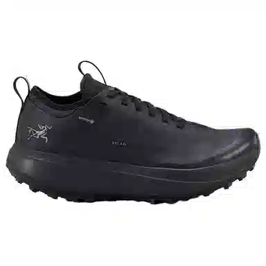 Arcteryx SYLAN GTX