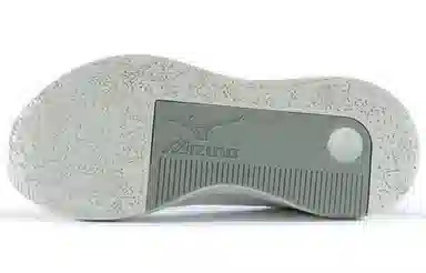 Mizuno PI EC White Grey