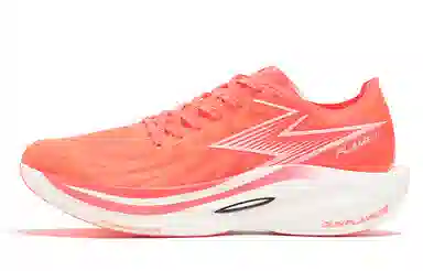 361 Fei Ran 2 Fluorescent Begonia Pink