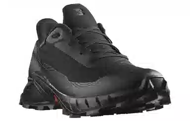 Salomon Alphacross 5