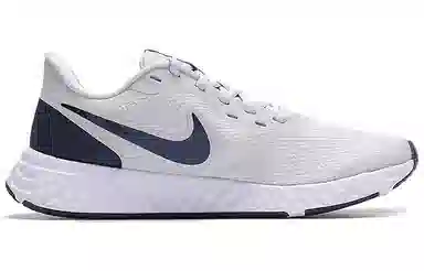 Nike Revolution 5 Grey