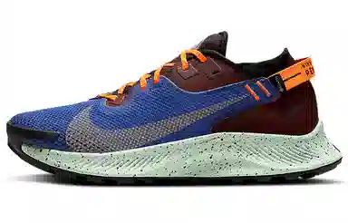 Nike Pegasus Trail 2 GORE-TEX