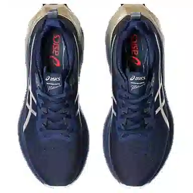 Asics Novablast 4 Platinum