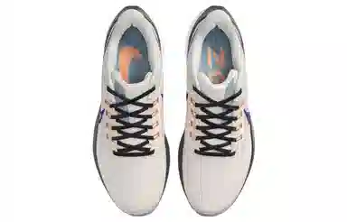 Nike Air Zoom Pegasus 39 White Blue