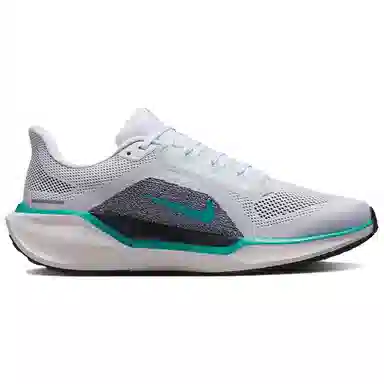 Nike Pegasus 41 White Blue