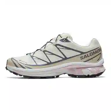 Salomon XT-6 Off White Grey