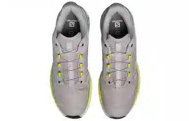 Salomon Xt-Wings 2 Rose Ashes