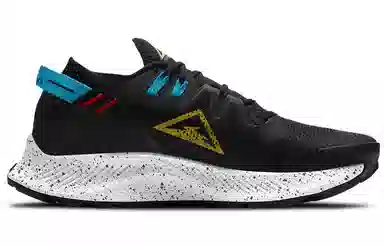 Nike Pegasus Trail 2