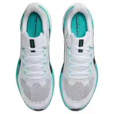 Nike Pegasus 41 White Blue