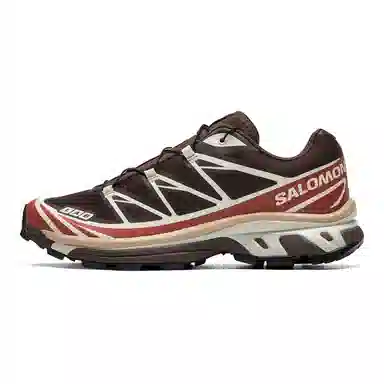 Salomon XT-6 Brown