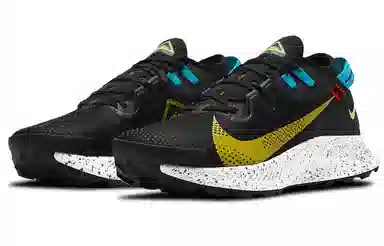 Nike Pegasus Trail 2