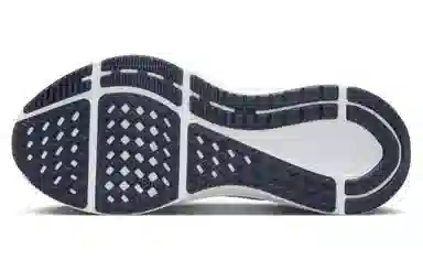 Nike Zoom Structure 25 Beige Blue