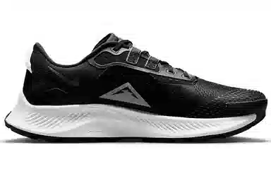 Nike Pegasus Trail 3 Black White