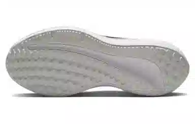 Nike Air Winflo 9 PRM