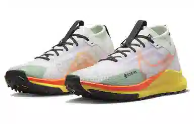 Nike Pegasus Trail 4 Gore-Tex