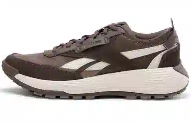 Reebok DMX Hiking Brown