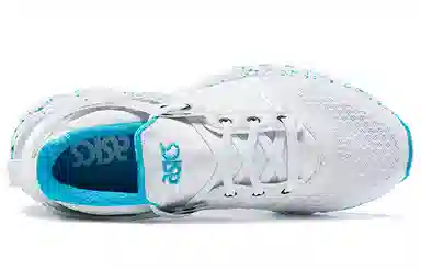 Asics GT-DS White Blue