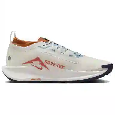 Nike Pegasus Trail 5 GORE-TEX