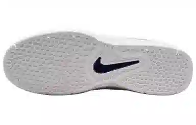 Nike SB Vertebrae White Grey