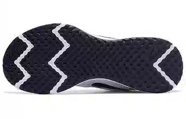 Nike Revolution 5 Grey