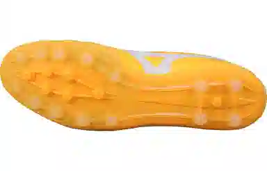 Mizuno Morelia 2 Pro AG