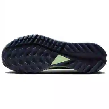 Nike Pegasus Trail 4 GORE-TEX